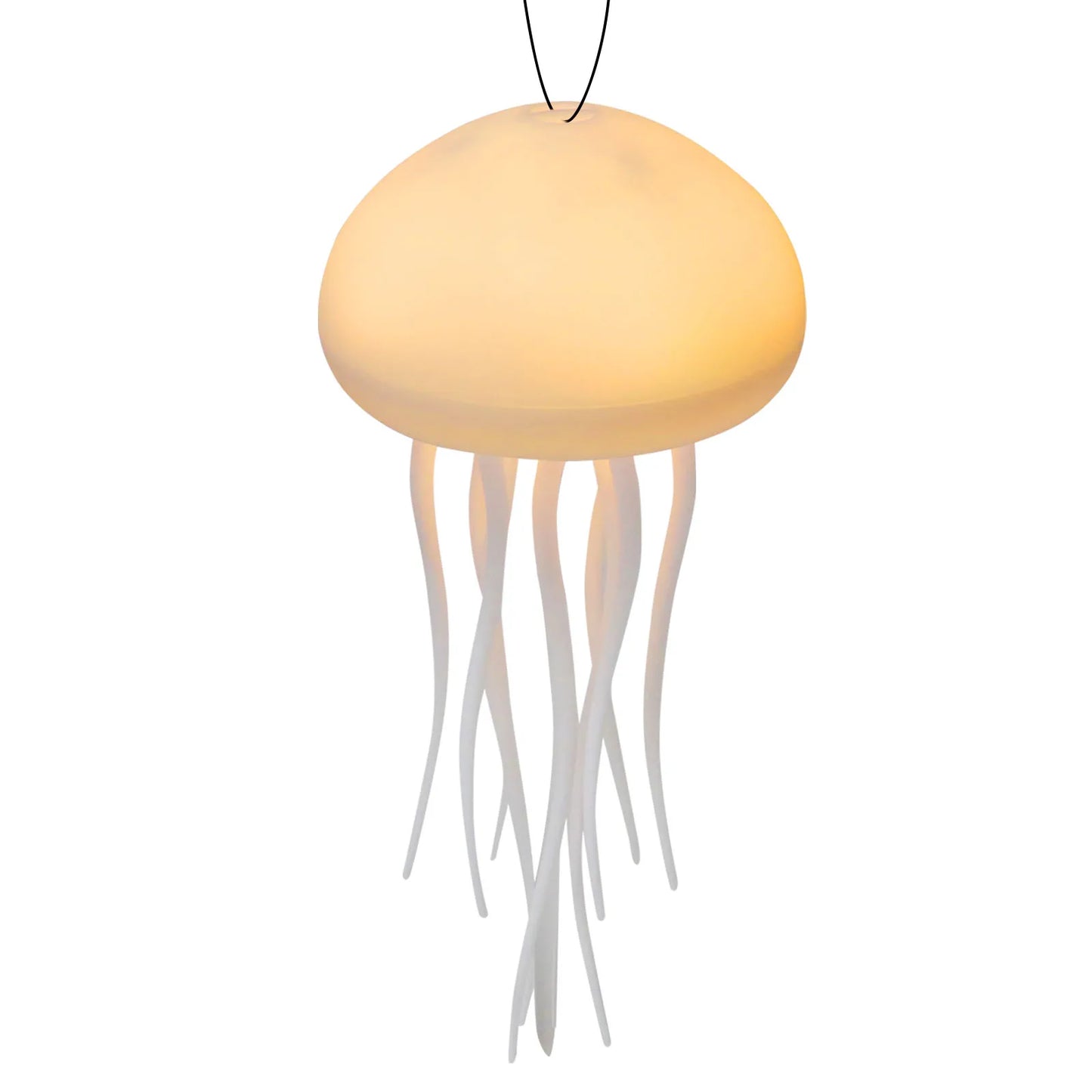 Jellyfish Light