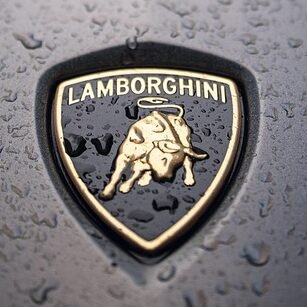 cars, lamborghini, bmw, bussiness cards, tesla, lamborghini, lamborghini, lamborghini, tesla, tesla, tesla, tesla, tesla